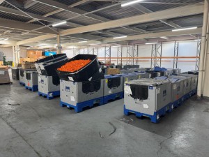 Robson Kay - Auction Date: 2025-07-22 - Category: 300 pallets of loose LEGO BRICK