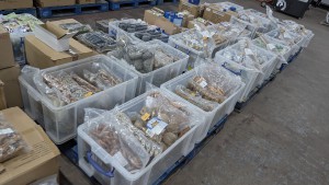 Robson Kay - Auction Date: 2026-02-17 - Category: Huge quantity of Dog Chews/Toys and other Pet Tradestocks