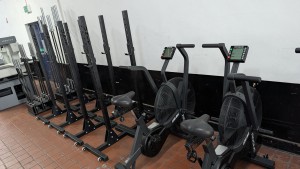 Robson Kay - Auction Date: 2026-11-10 - Category: The Contents of a Gym