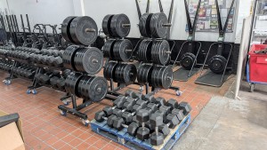 Robson Kay - Auction Date: 2026-11-10 - Category: The Contents of a Gym